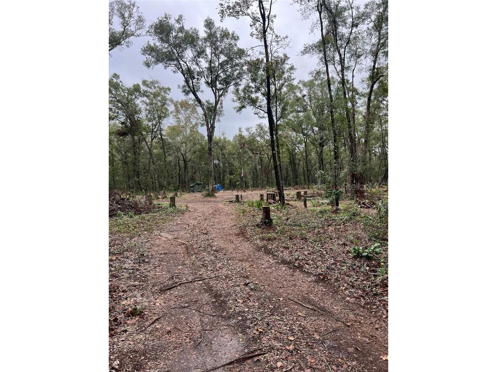 105 NE 899 Lane Old Town FL 32680 GC517635 image1