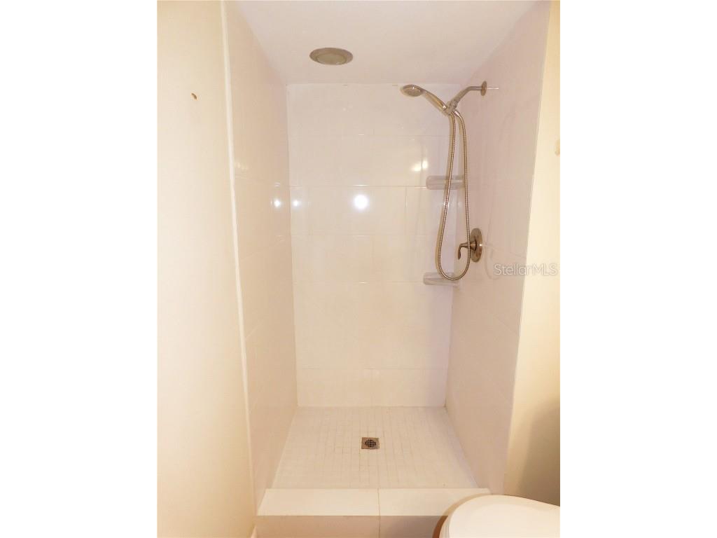 105 Palmetto Court Oldsmar FL 34677 TB8407896 image23