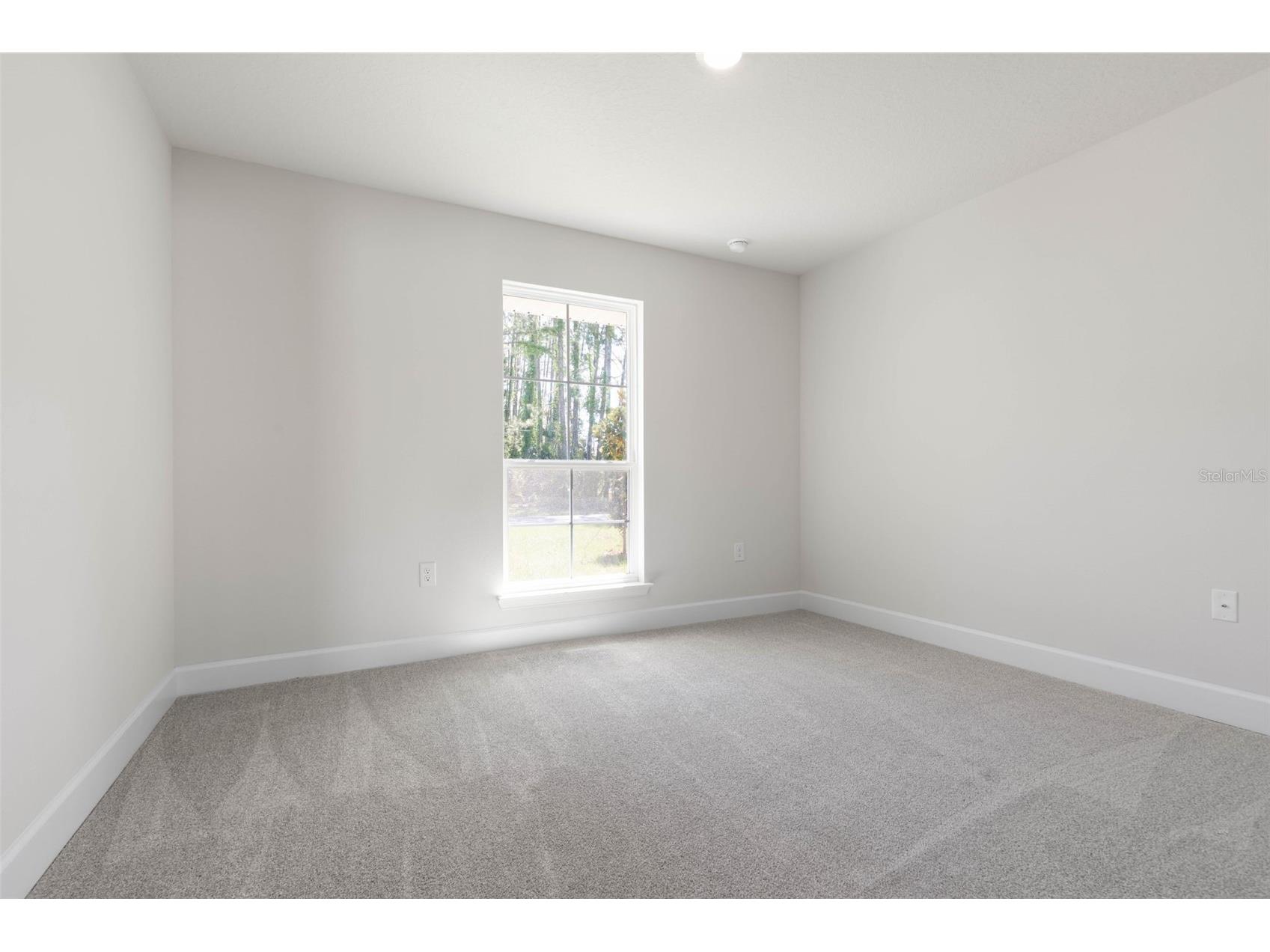 105 Palmwood Drive Palm Coast FL 32164 FC318347 image11
