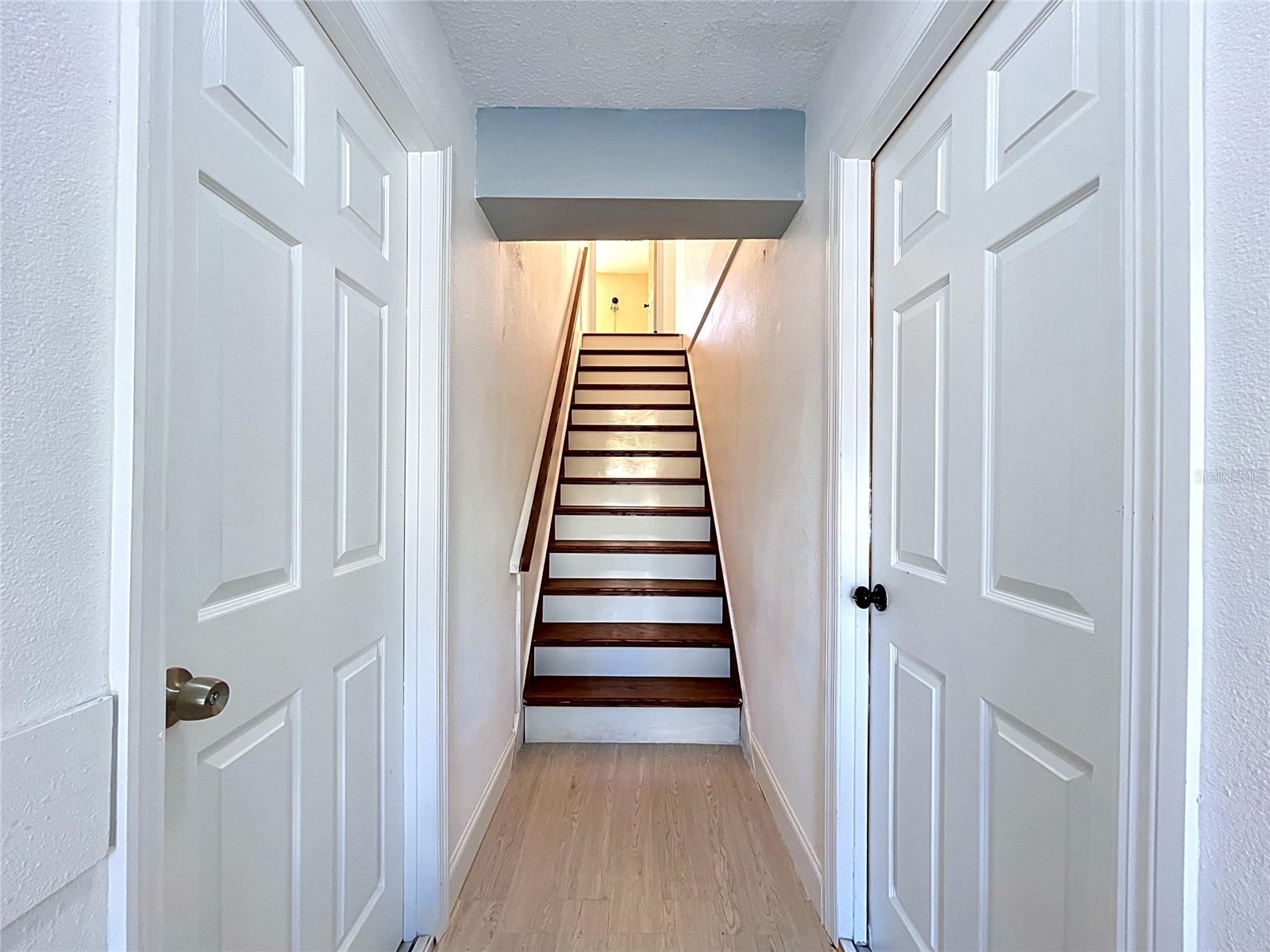 105 Peterson Lane Palm Harbor FL 34683 TB8501897 image16