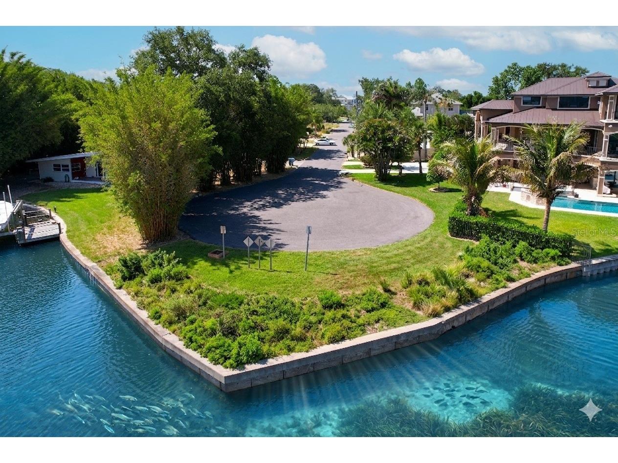 105 Peterson Lane Palm Harbor FL 34683 TB8501897 image3