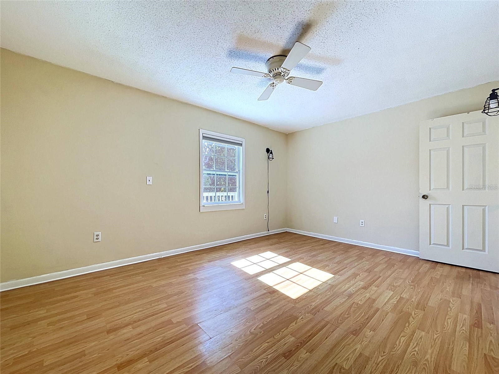 105 Peterson Lane Palm Harbor FL 34683 TB8501897 image31