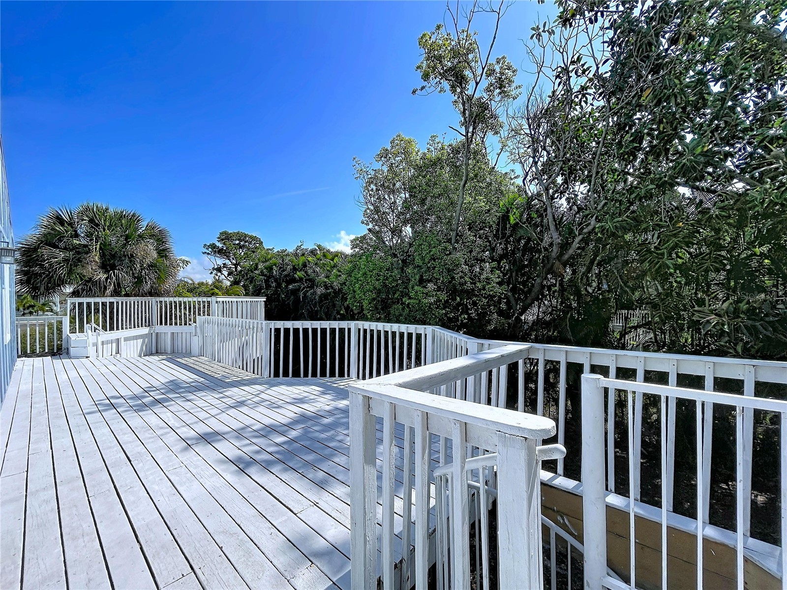 105 Peterson Lane Palm Harbor FL 34683 TB8501897 image40
