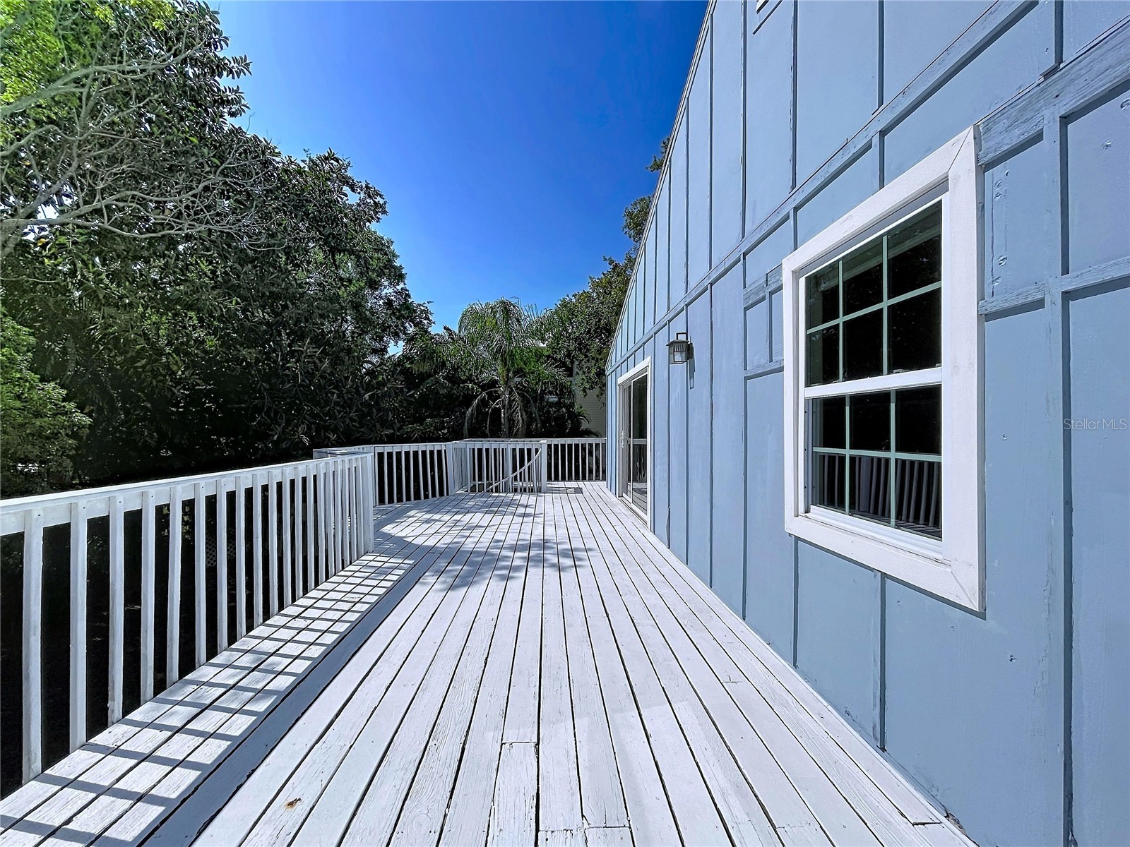 105 Peterson Lane Palm Harbor FL 34683 TB8501897 image42