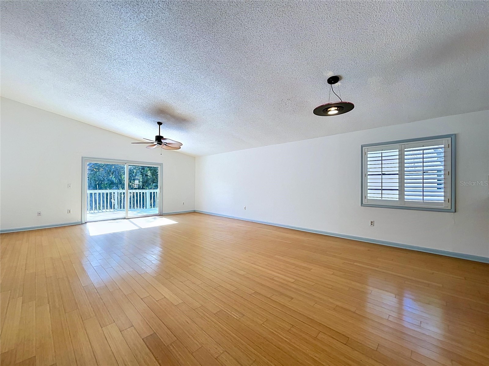 105 Peterson Lane Palm Harbor FL 34683 TB8501897 image7