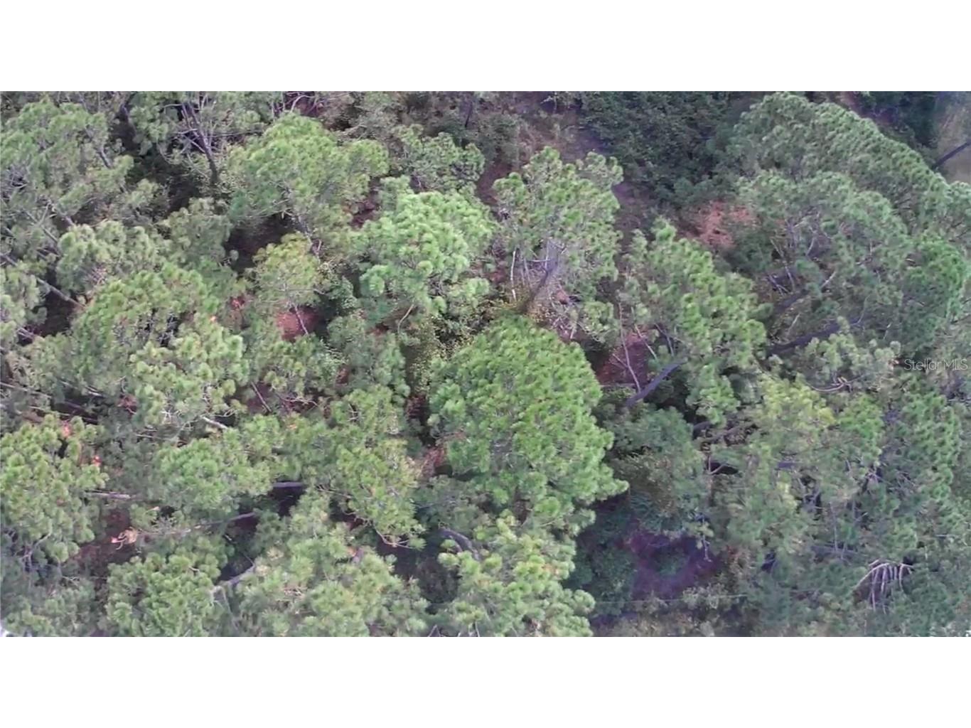 105 Pine Cone Drive Georgetown FL 32139 FC304823 image2