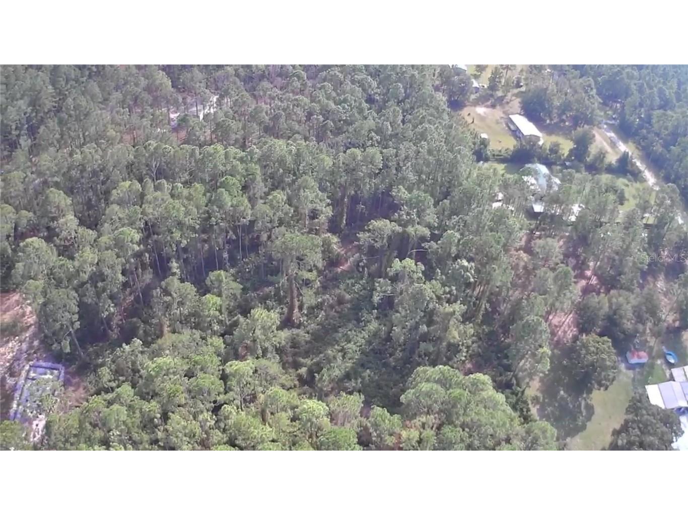 105 Pine Cone Drive Georgetown FL 32139 FC304823 image3