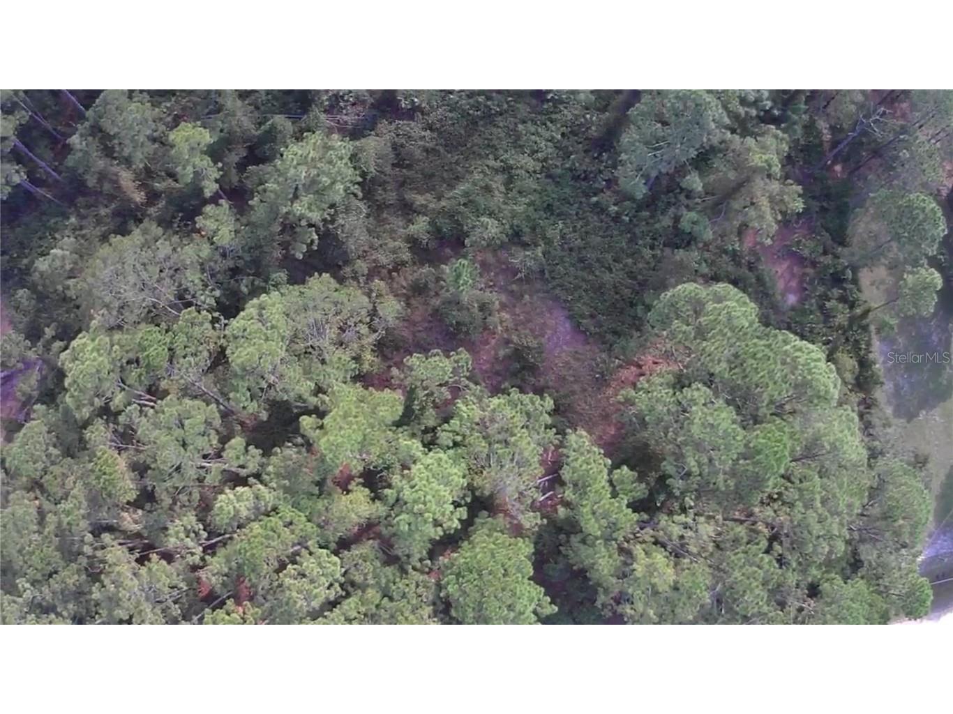 105 Pine Cone Drive Georgetown FL 32139 FC304823 image6