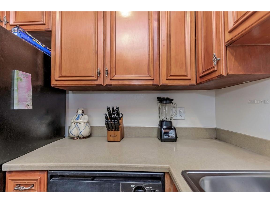 105 Pompano Drive SE #A Saint Petersburg FL 33705 TB8302935 image21