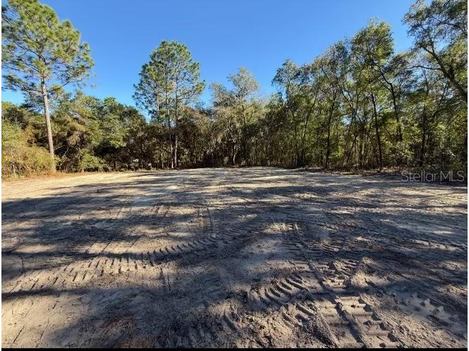 105 Race Street Hawthorne FL 32640 GC539180 image1