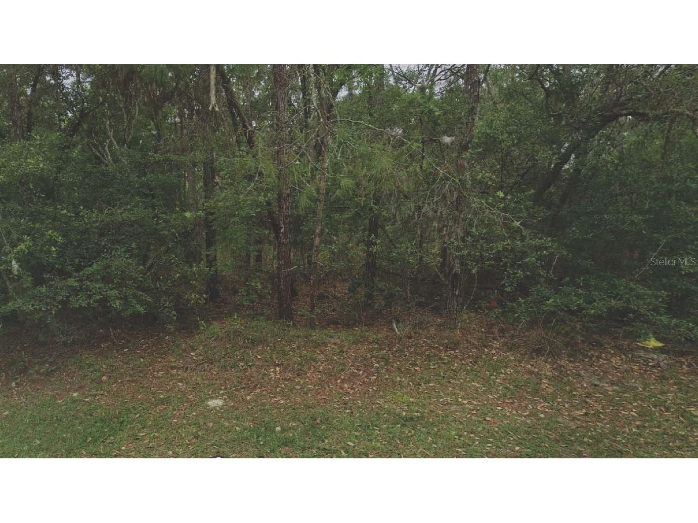 105 Rhode Island Avenue Satsuma FL 32189 OM715765 image1