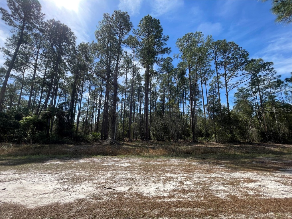 105 Rosewood Street Georgetown FL 32139 FC308368 image1