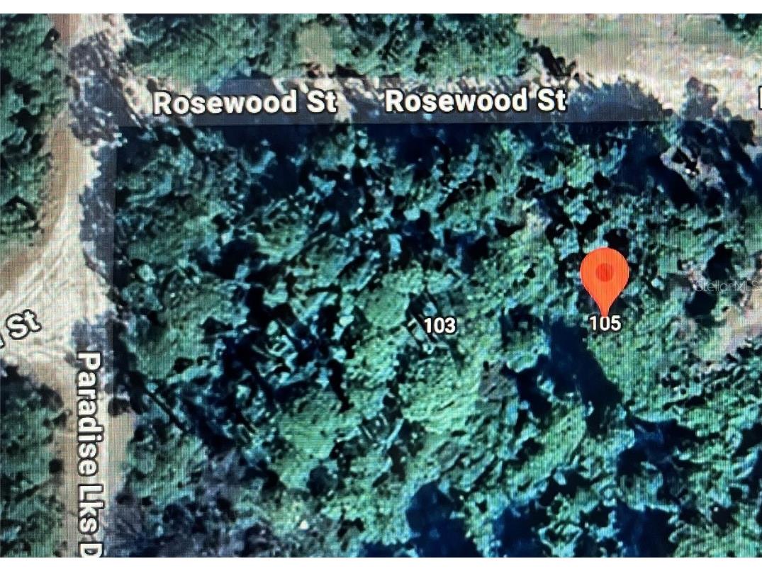 105 Rosewood Street Georgetown FL 32139 FC308368 image2