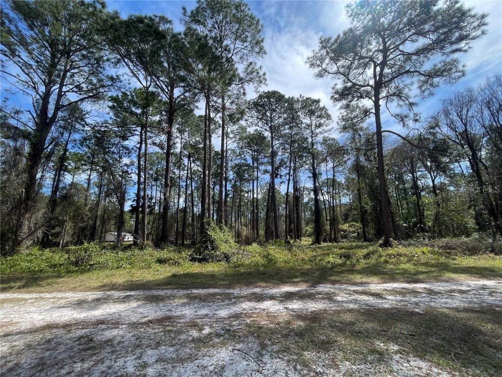 105 Rosewood Street Georgetown FL 32139 FC308368 image3