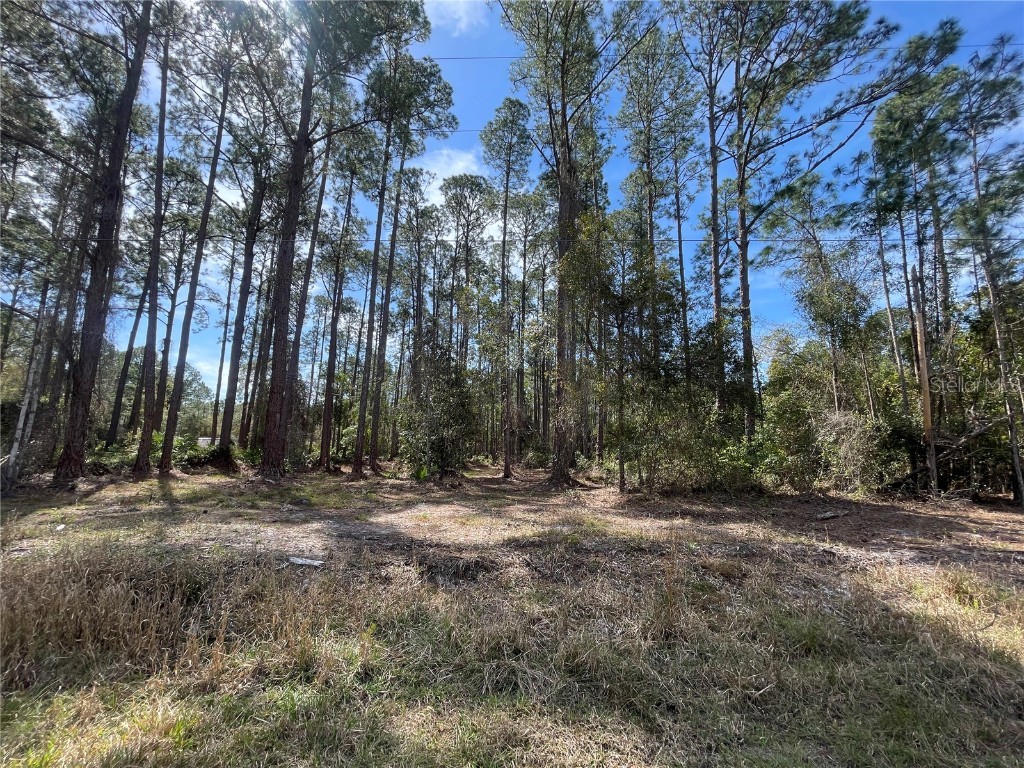 105 Rosewood Street Georgetown FL 32139 FC308368 image5