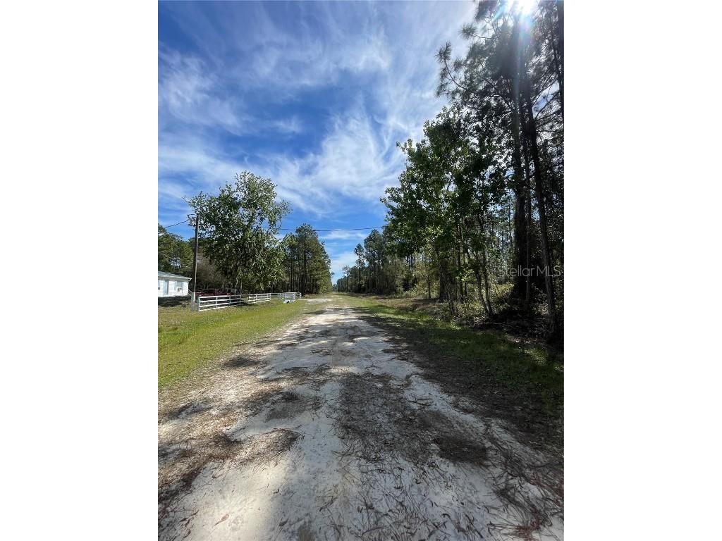 105 Rosewood Street Georgetown FL 32139 FC308368 image7