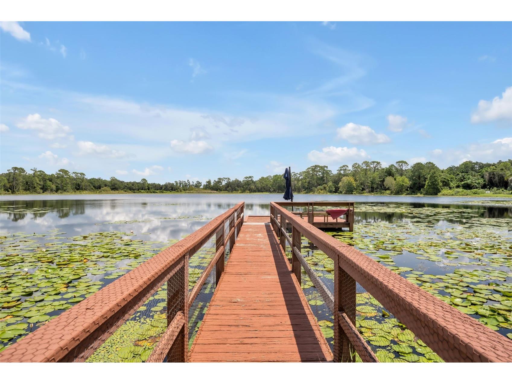 105 Saxon Boulevard Deltona FL 32725 - JENKINS POND V4944524 image54