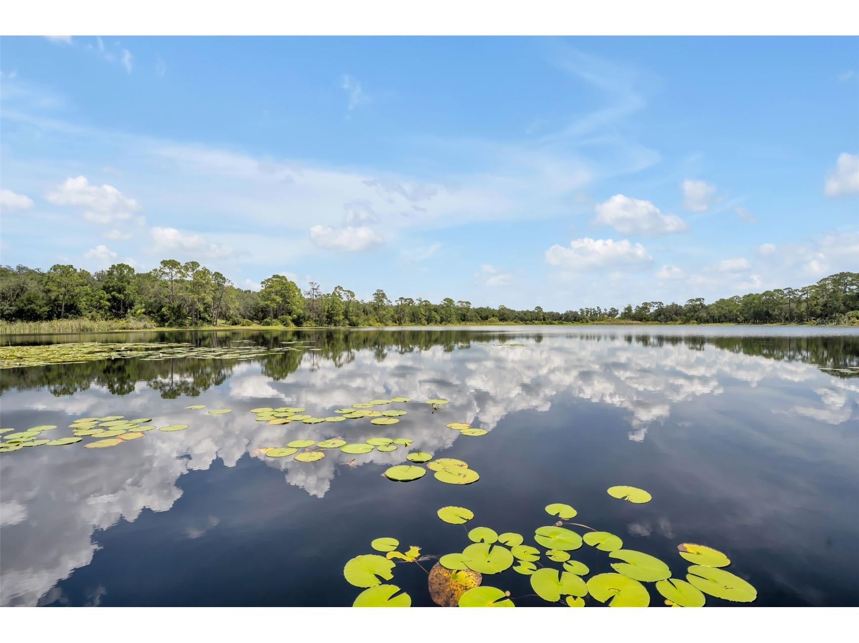 105 Saxon Boulevard Deltona FL 32725 - JENKINS POND V4944524 image56