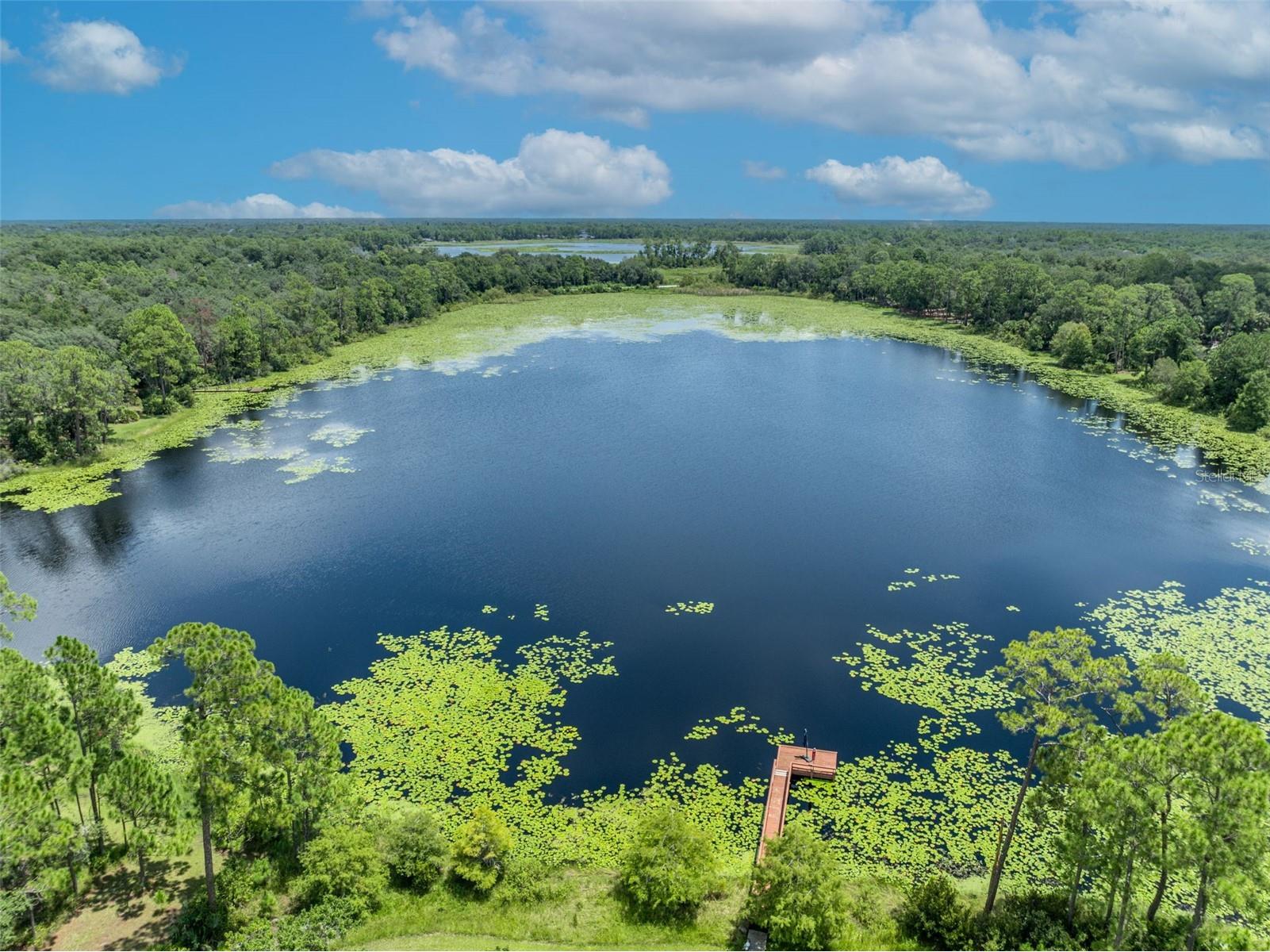 105 Saxon Boulevard Deltona FL 32725 - JENKINS POND V4944524 image77