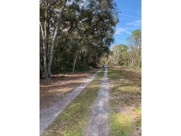 105 Seminole Place Street Satsuma FL 32189 V4928007 image1