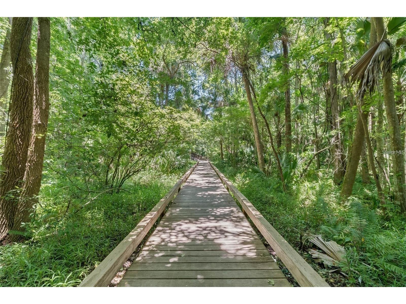 105 Sweet Bay Lane Longwood FL 32779 O6401023 image61