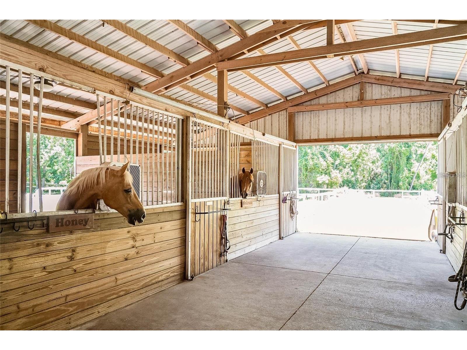 105 Sweet Bay Lane Longwood FL 32779 O6401023 image75