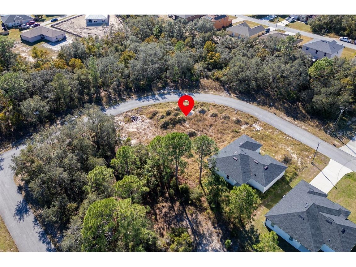 105 Tench Drive Kissimmee FL 34759 S5132306 image11