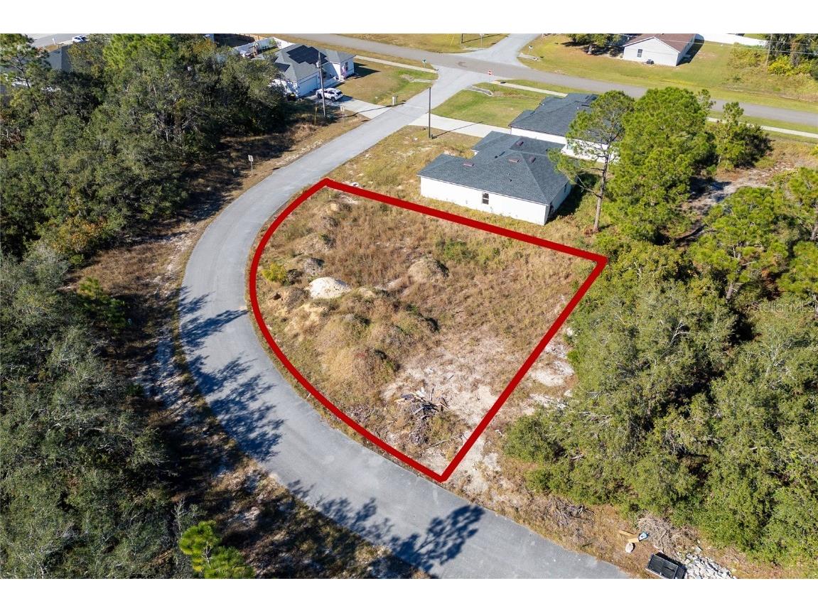 105 Tench Drive Kissimmee FL 34759 S5132306 image2