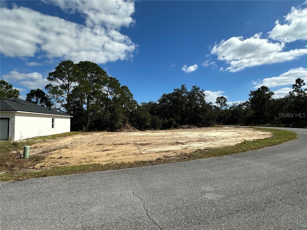 105 Tench Drive Kissimmee FL 34759 S5132306 image5