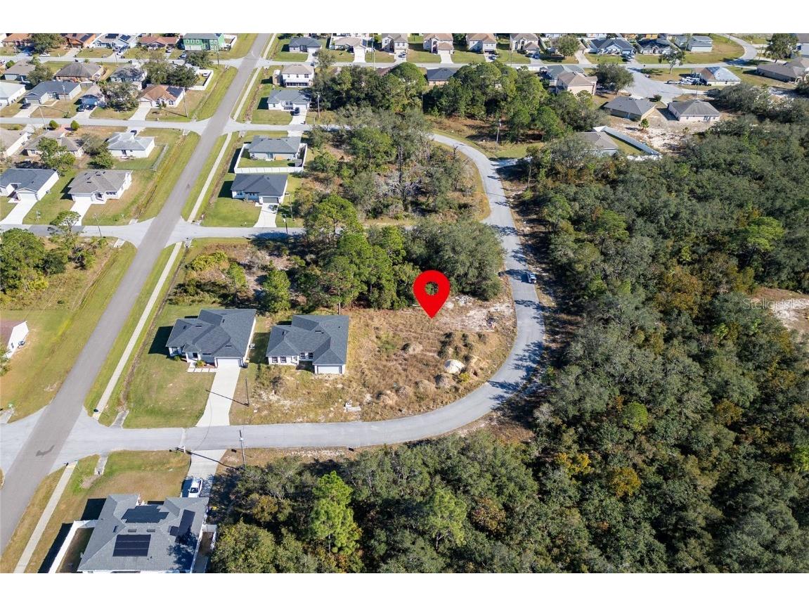 105 Tench Drive Kissimmee FL 34759 S5132306 image7