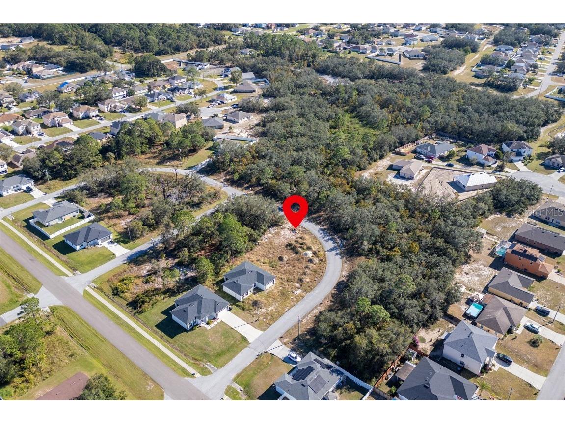 105 Tench Drive Kissimmee FL 34759 S5132306 image8