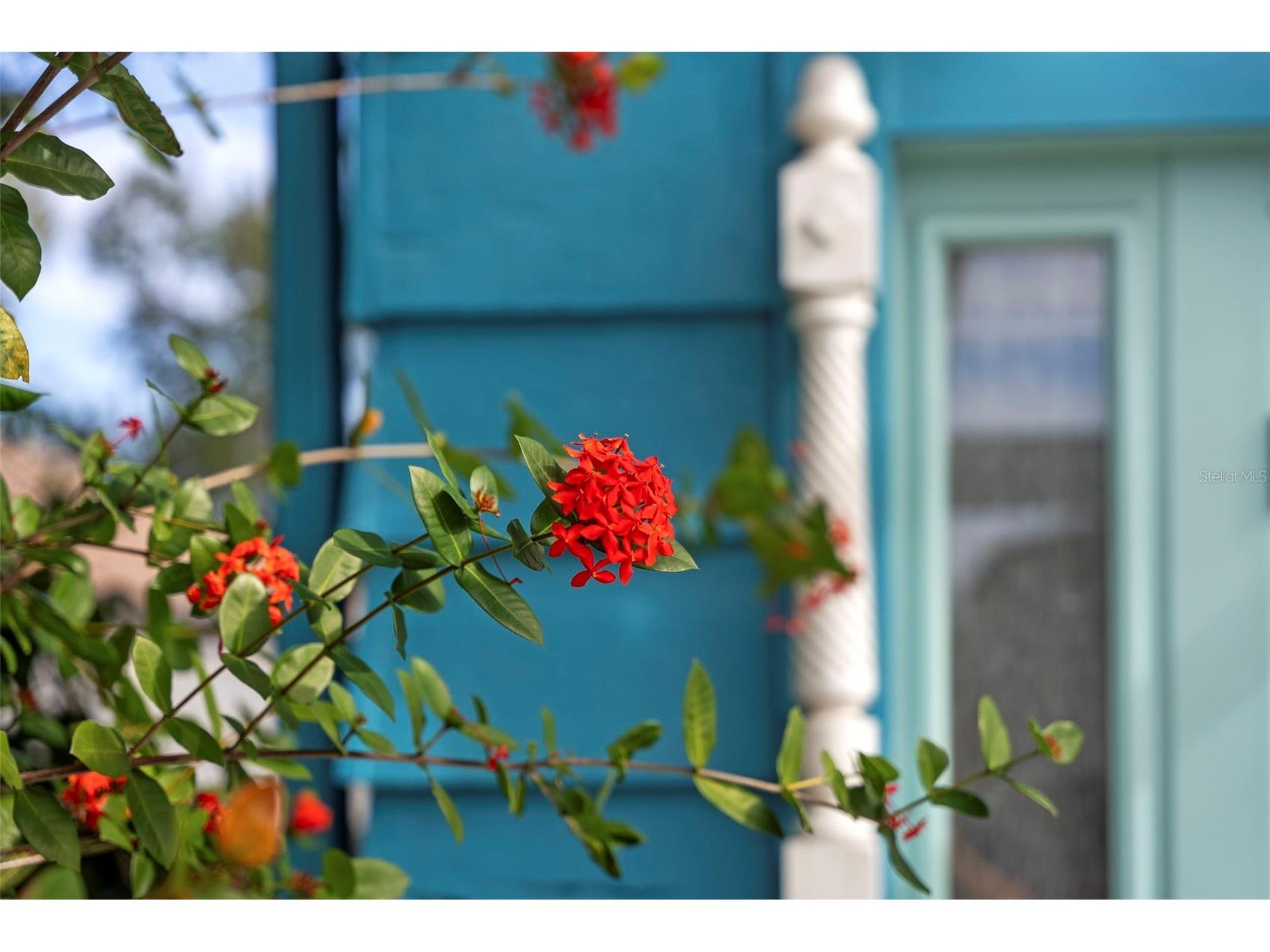 105 Tucker Avenue Sarasota FL 34232 A4680183 image4