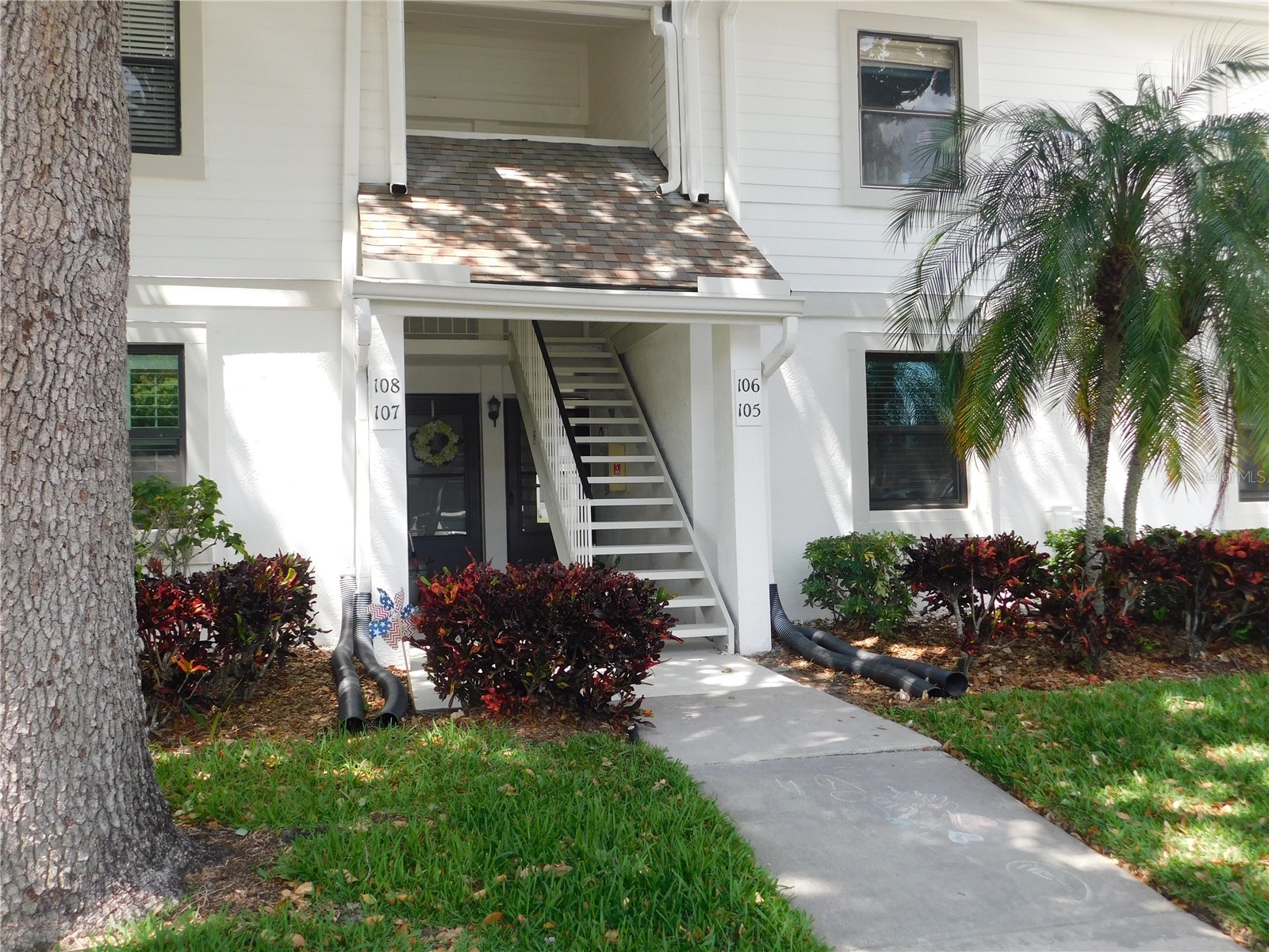 105 Windward Place #105 Oldsmar FL 34677 TB8450695 image1