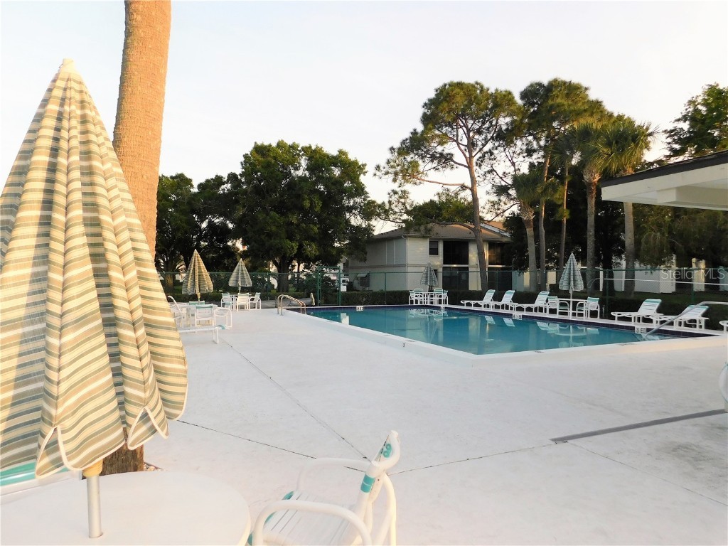 105 Windward Place #105 Oldsmar FL 34677 TB8450695 image28