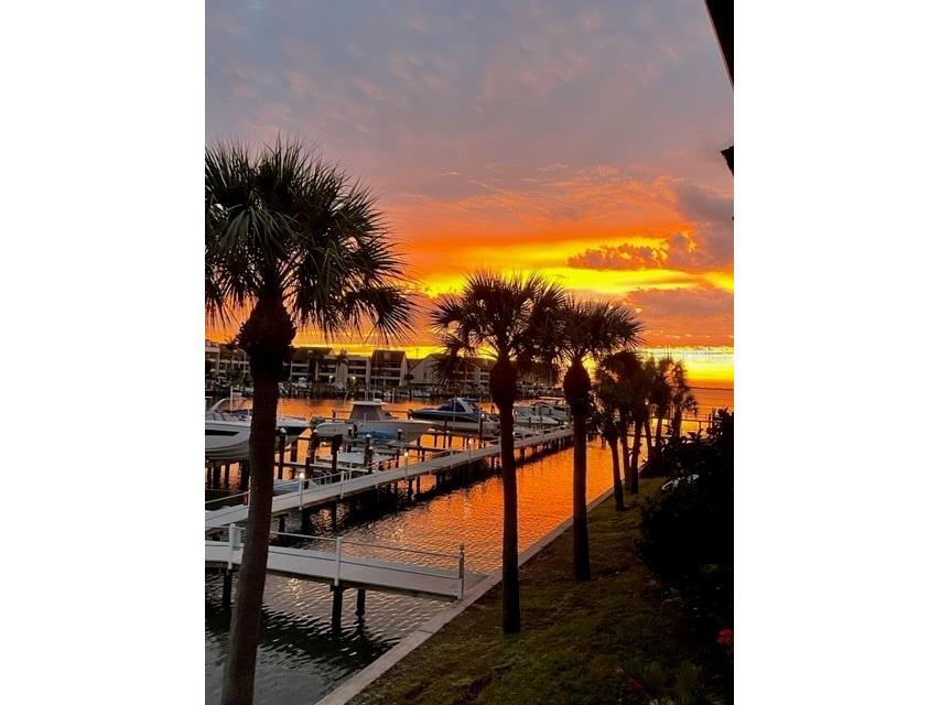105 Yacht Club Lane Tierra Verde FL 33715 T3494965 image1