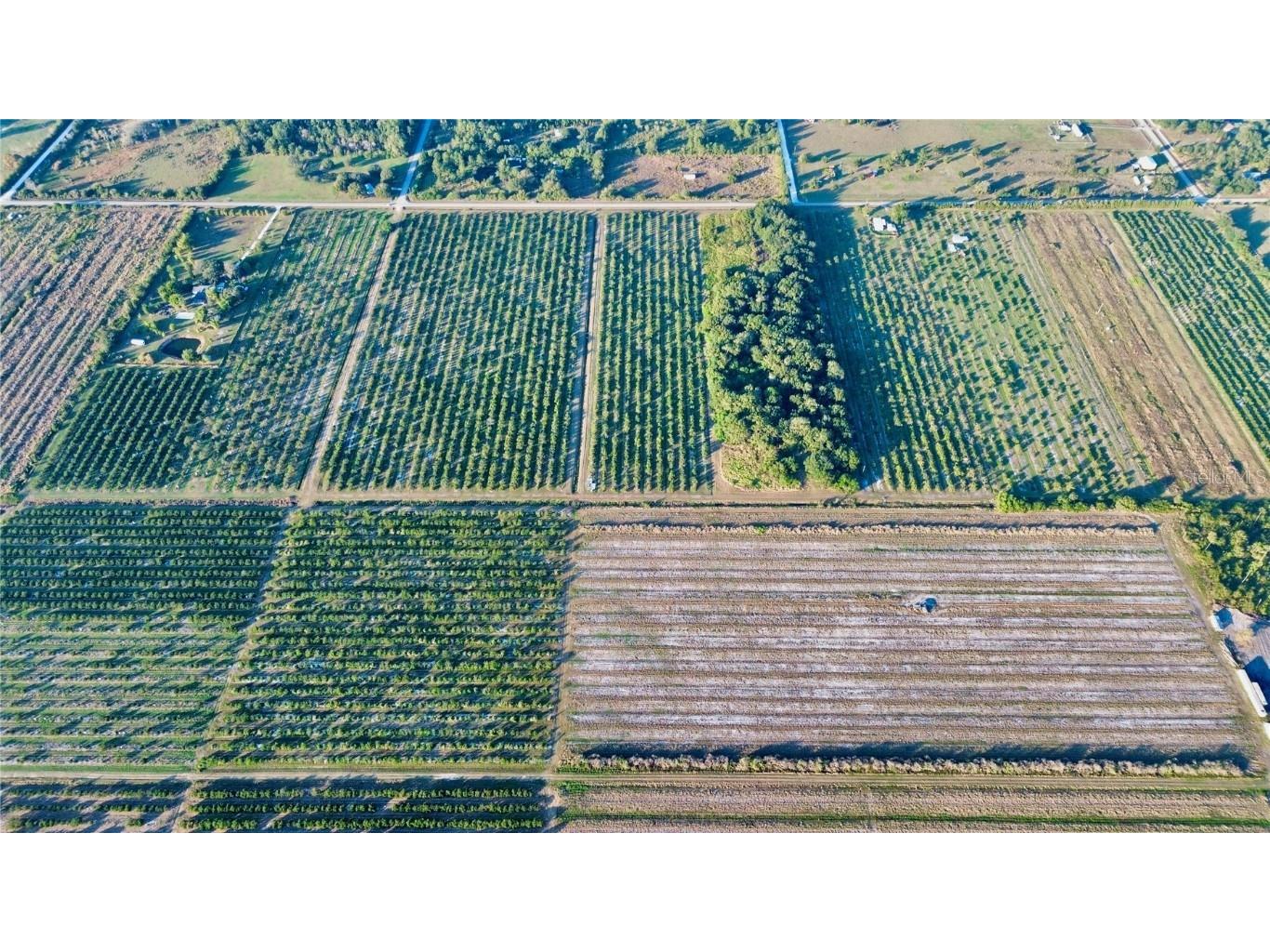 1050 Arbuckle Creek Road Lorida FL 33857 L4957952 image1