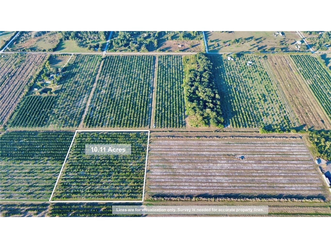 1050 Arbuckle Creek Road Lorida FL 33857 L4957952 image2