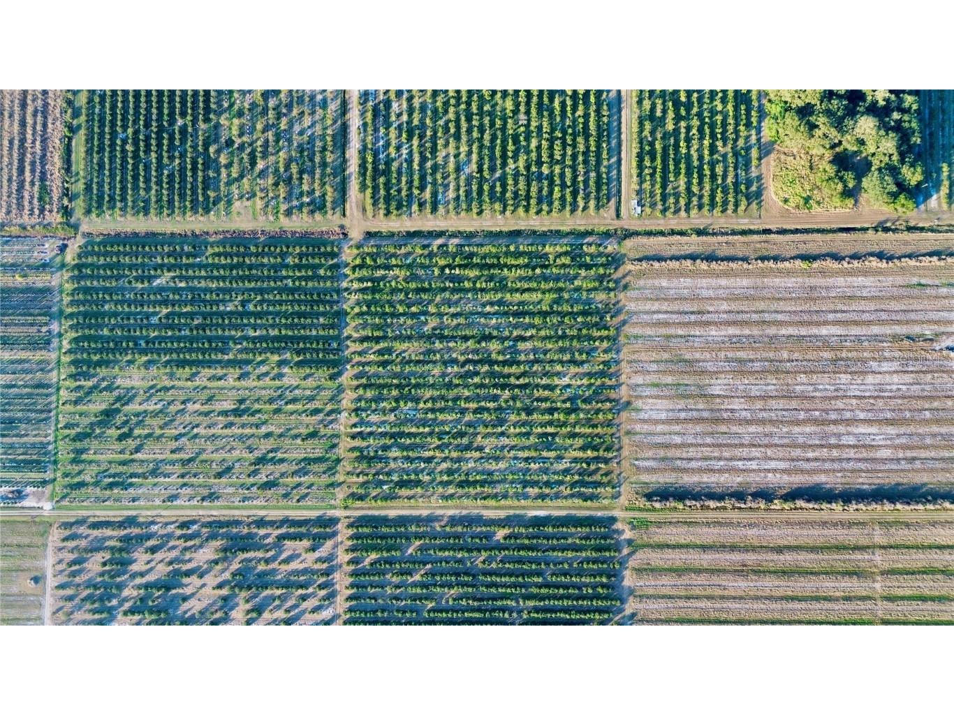 1050 Arbuckle Creek Road Lorida FL 33857 L4957952 image3