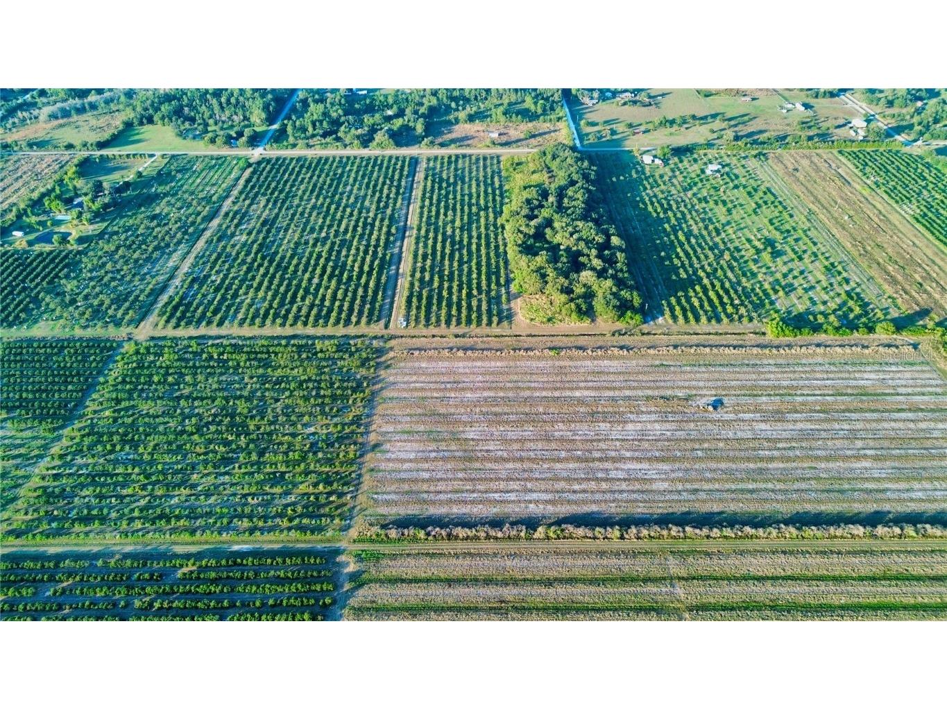 1050 Arbuckle Creek Road Lorida FL 33857 L4957952 image5