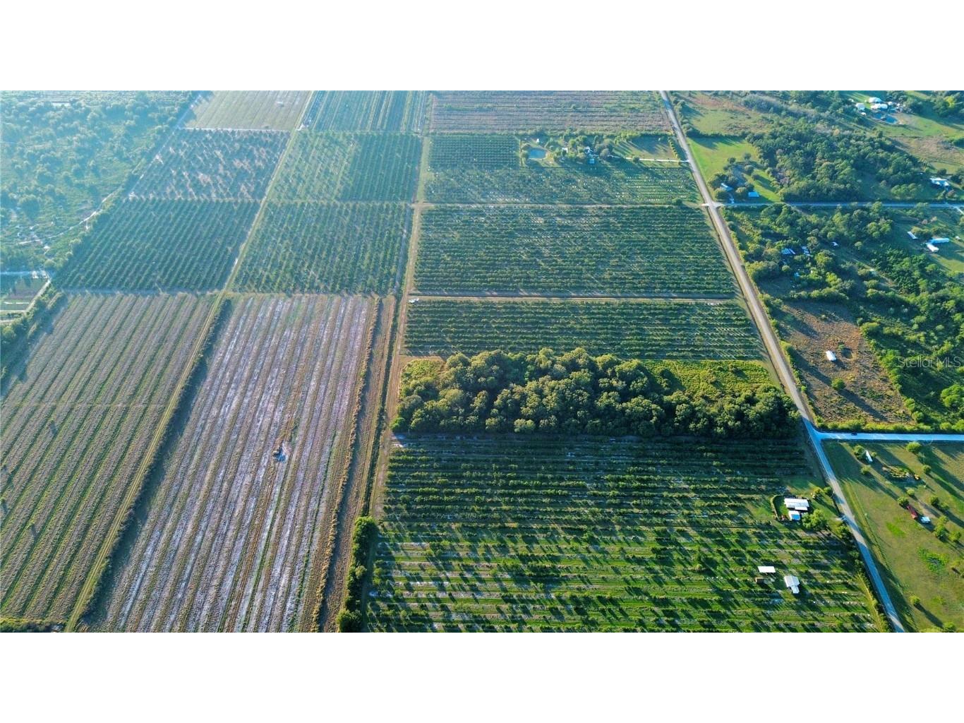 1050 Arbuckle Creek Road Lorida FL 33857 L4957952 image6