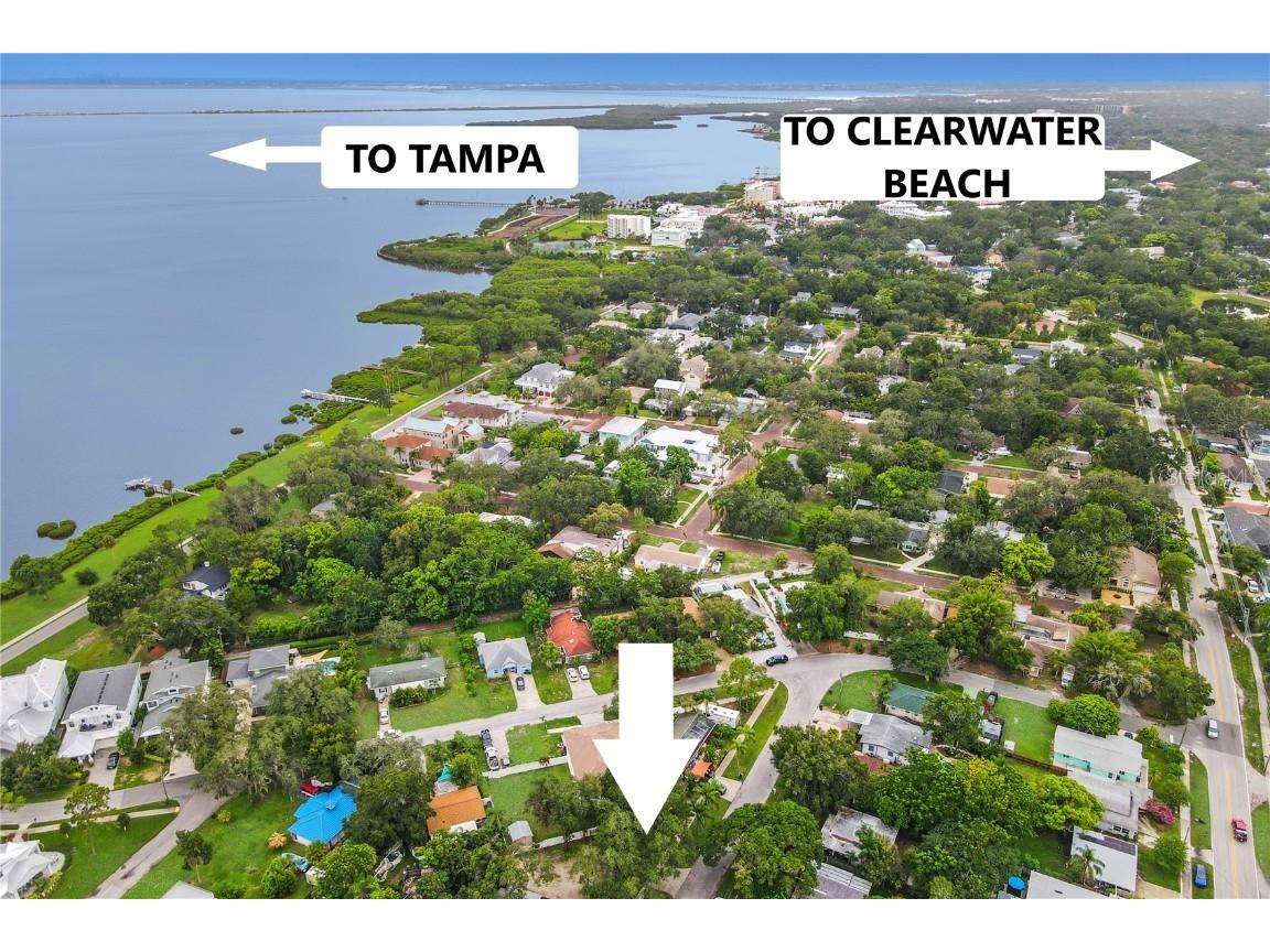 1050 Conant Avenue Safety Harbor FL 34695 TB8407443 image4