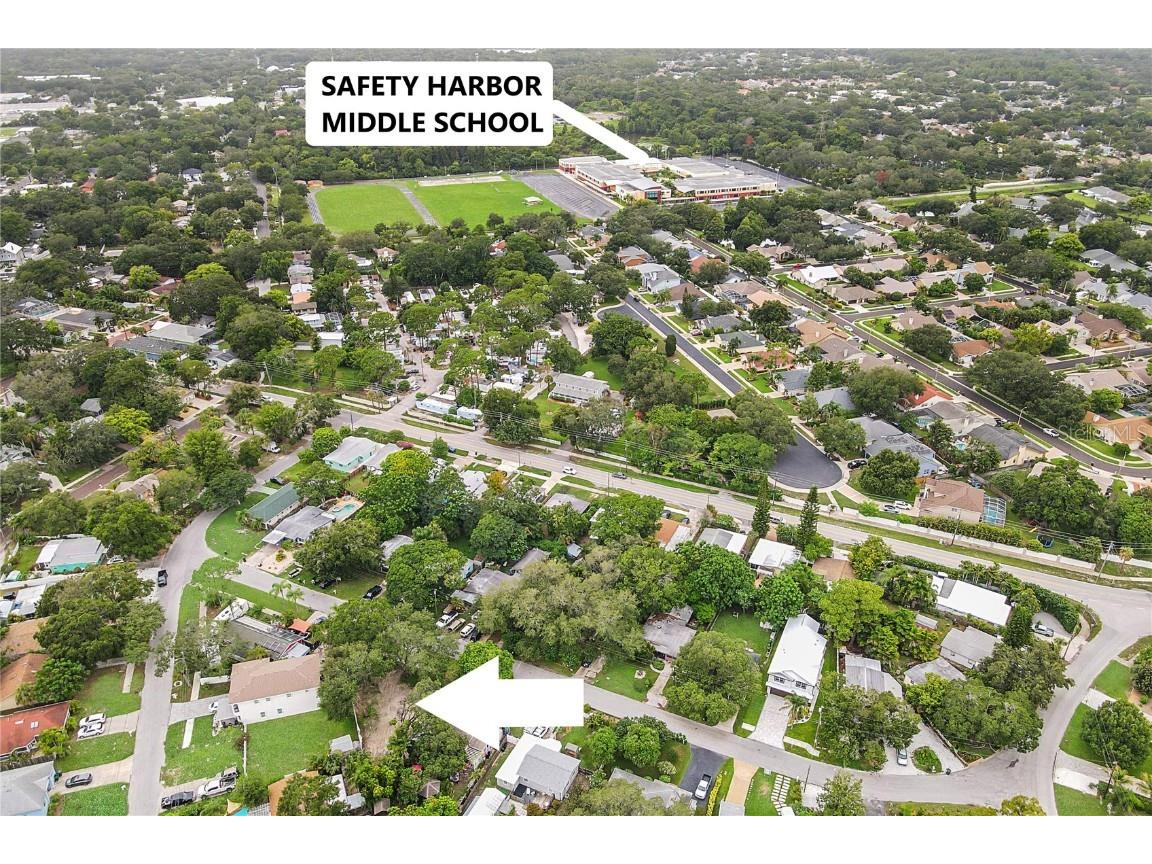 1050 Conant Avenue Safety Harbor FL 34695 TB8407443 image9