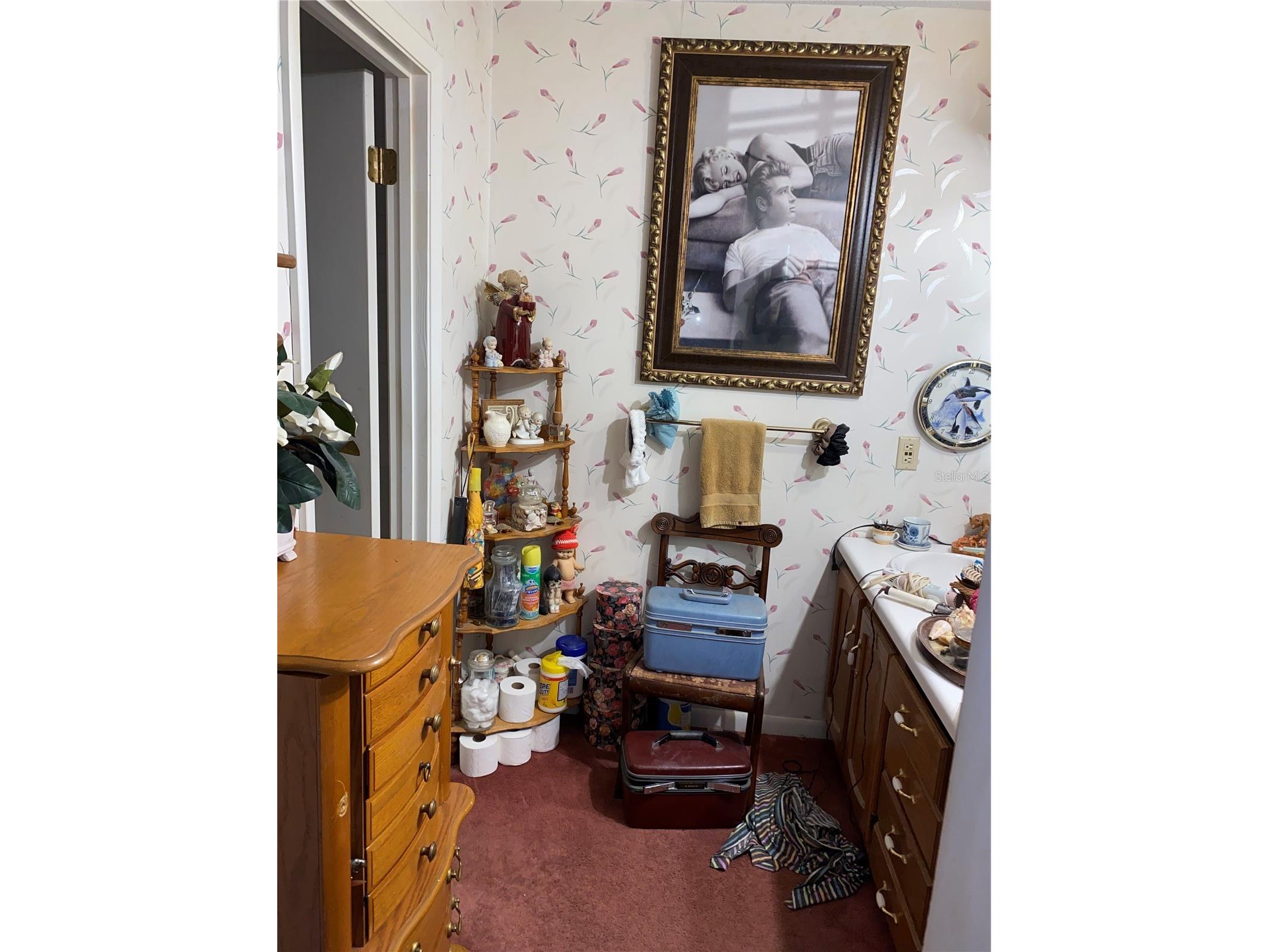 1050 Cr 482d Lake Panasoffkee FL 33538 G5108879 image13