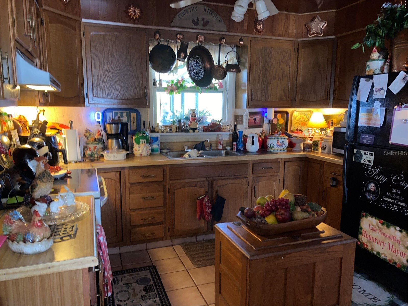 1050 Cr 482d Lake Panasoffkee FL 33538 G5108879 image5