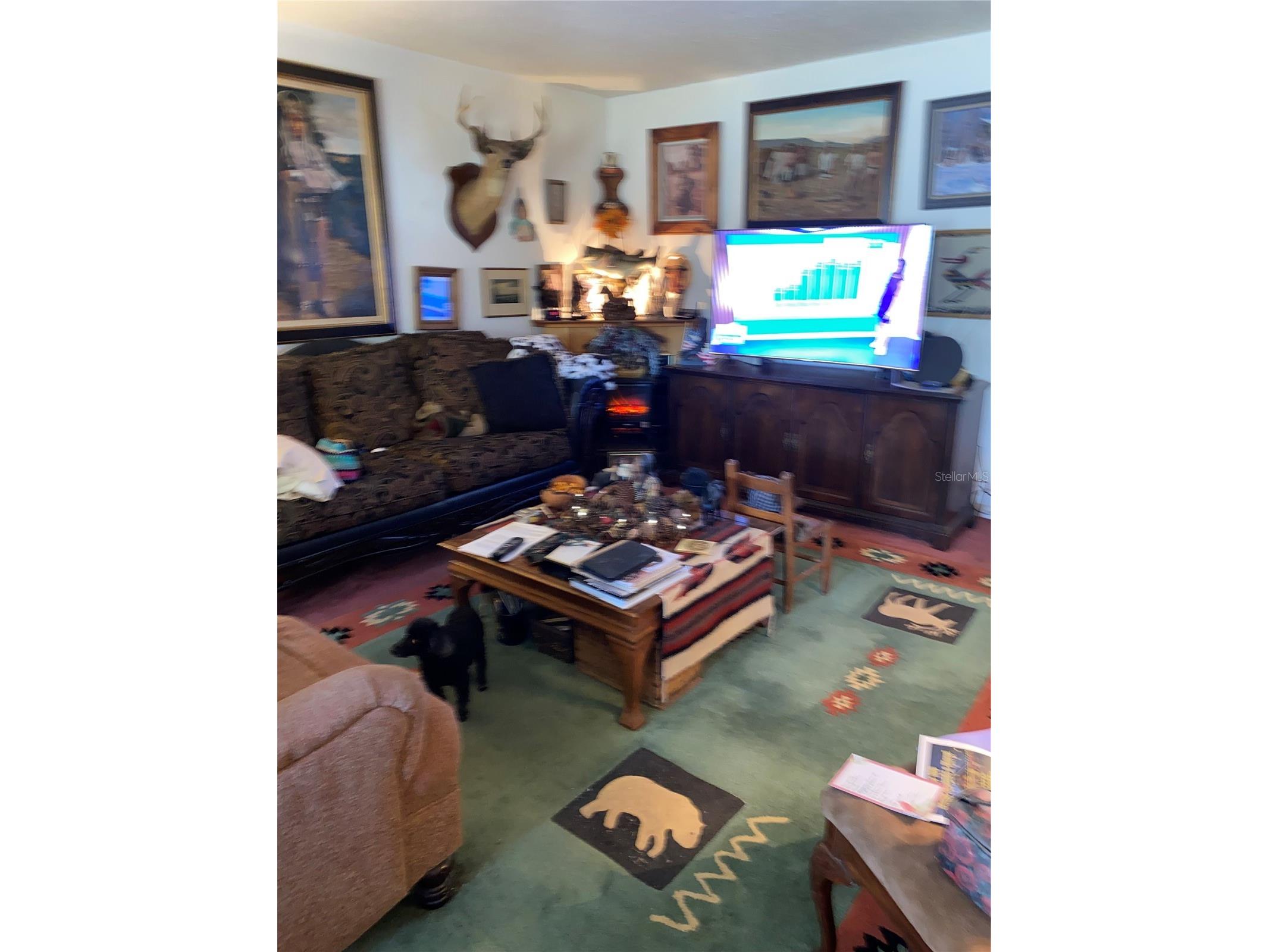 1050 Cr 482d Lake Panasoffkee FL 33538 G5108879 image6