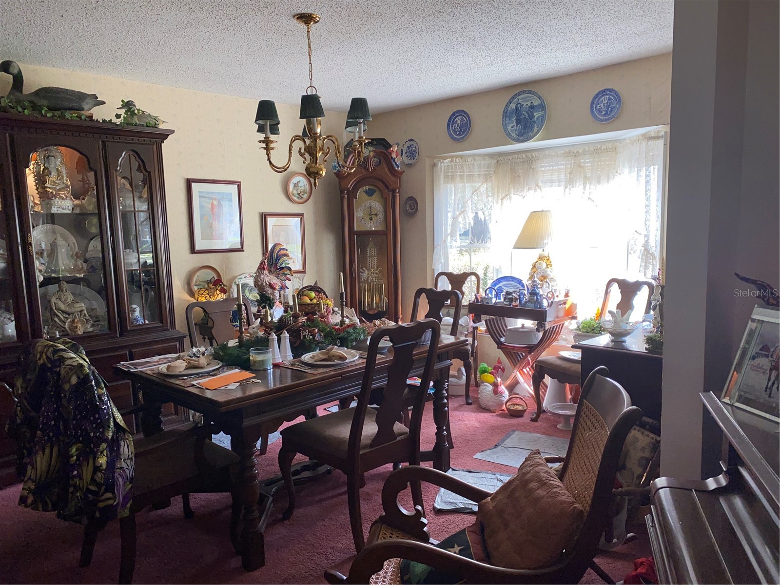 1050 Cr 482d Lake Panasoffkee FL 33538 G5108879 image8