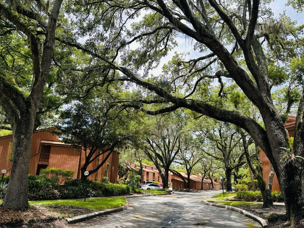 1050 E Michigan St #1050B Orlando FL 32806 O6326574 image13