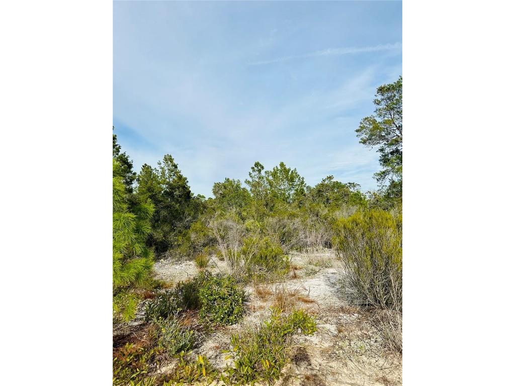 1050 Hughes Avenue Lake Placid FL 33852 O6148473 image1