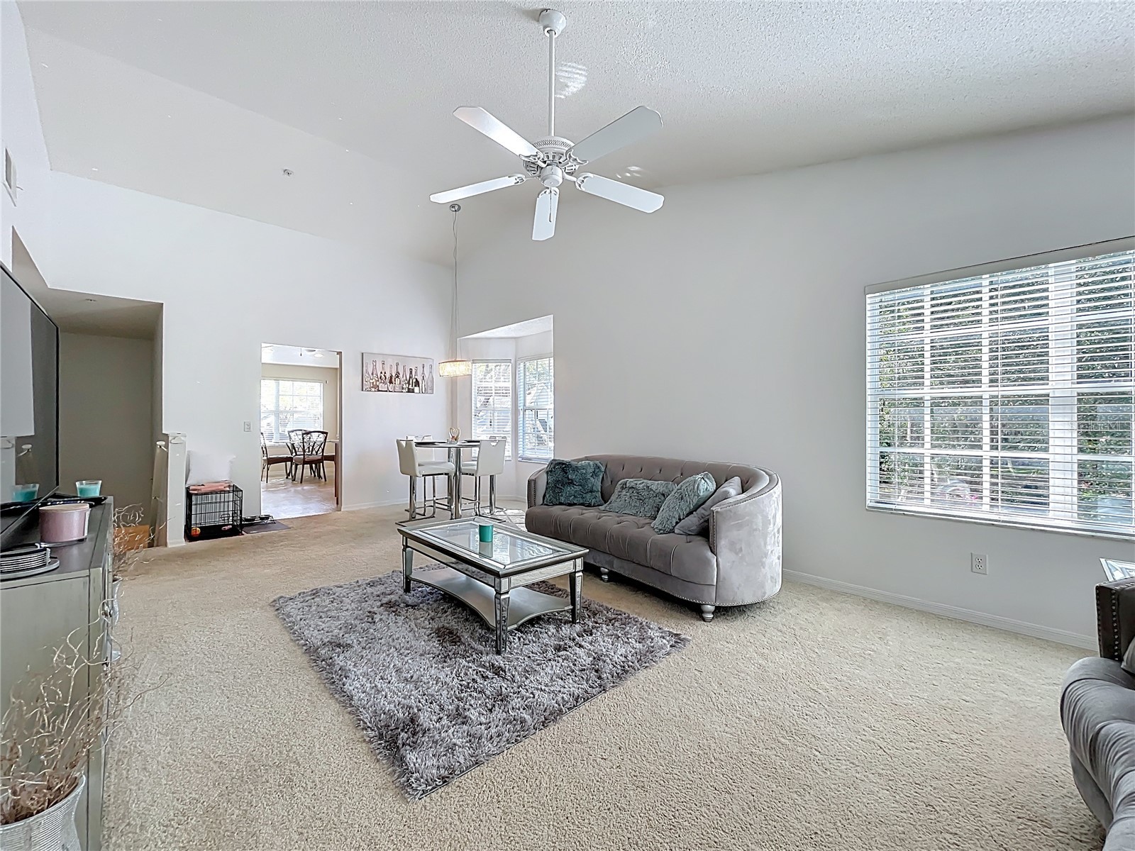 1050 Loch Vail #21 Apopka FL 32712 O6379909 image13