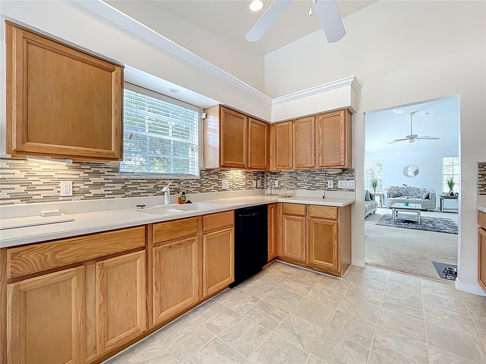 1050 Loch Vail #21 Apopka FL 32712 O6379909 image23